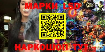 apvp Кимры