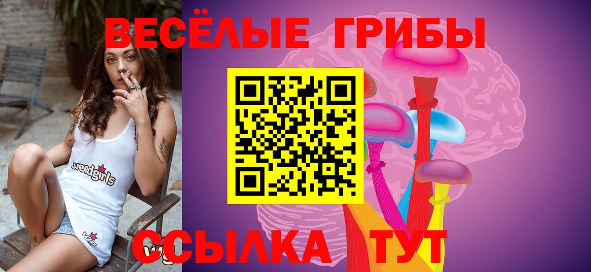 наркотики  Вход с VPN  Клин  Галлюциногенные грибы Psilocybe  Галлюциногенные грибы MAGIC MUSHROOMS 