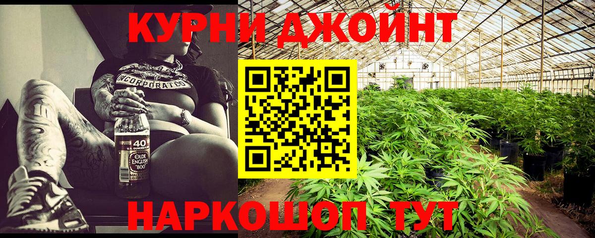 Конопля индика  Вход с VPN  Каннабис конопля  Марихуана VHQ  Клин 